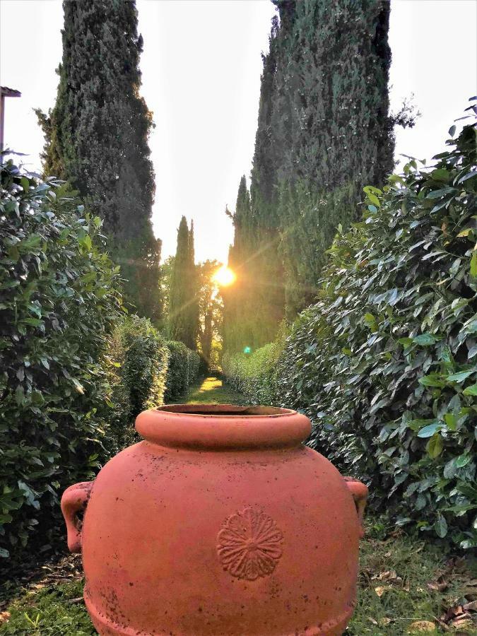 Danya Country Villa Sansepolcro Exterior photo
